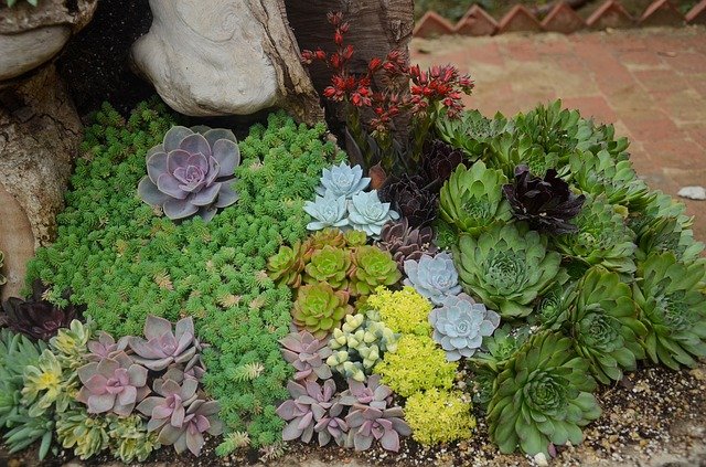 chợ bán gà đá,Chợ Bán Gà Đá – Một Sự Kiện Đặc Biệt Tại Thành Phố Gà Đá chợ bán gà đá,Chợ Bán Gà Đá – Một Sự Kiện Đặc Biệt Tại Thành Phố Gà Đá