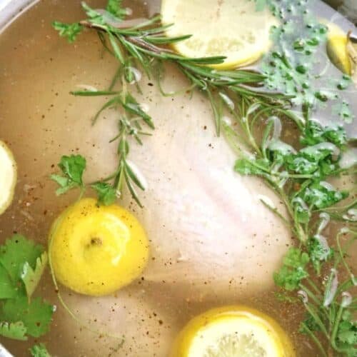 vảy gà đá cựa sắt vảy gà đá cựa sắt