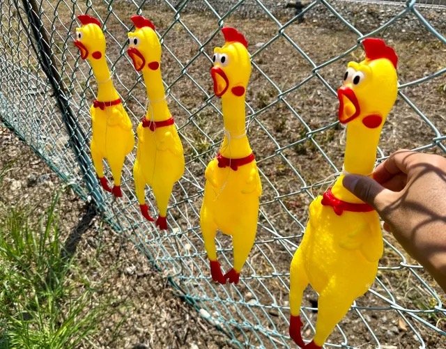 coi ngày gà đá,Chi tiết bài viết: coi ngày gà đá coi ngày gà đá,Chi tiết bài viết: coi ngày gà đá