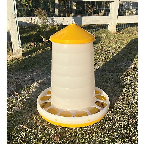 cách tập the lực cho gà đá cựa sắt,Cách tập lực cho gà đá cựa sắt cách tập the lực cho gà đá cựa sắt,Cách tập lực cho gà đá cựa sắt