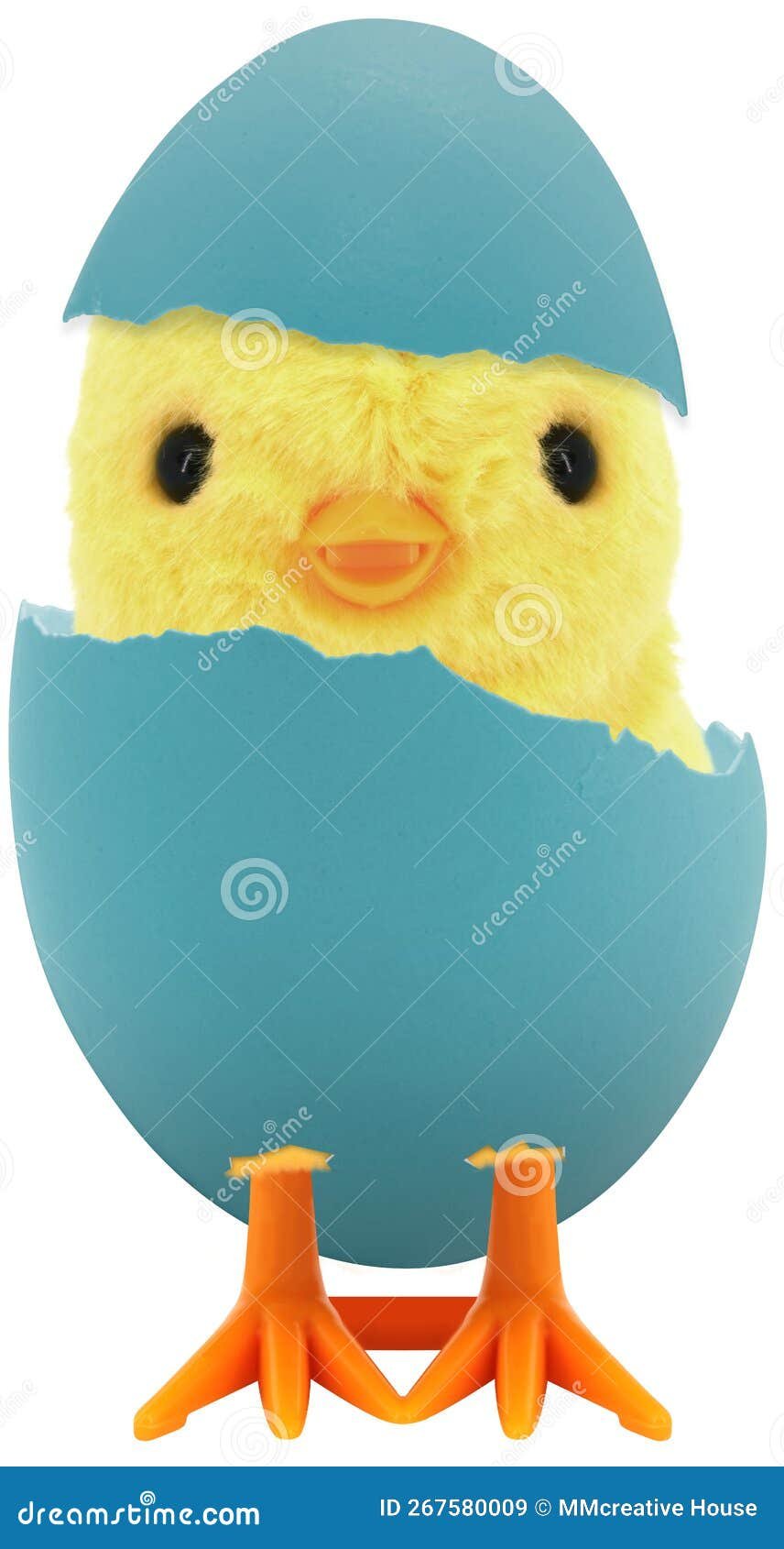 đá gà thomo gà tre đá gà thomo gà tre