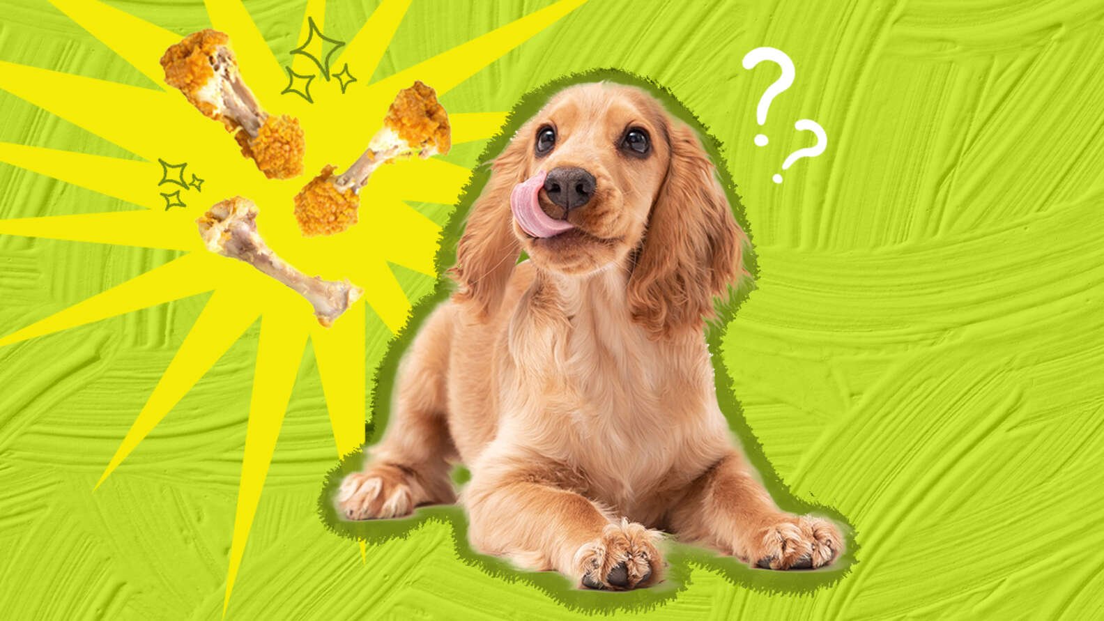 hình ảnh đá gà trái phép,Hình Ảnh Đá Gà Trái Phép: Bức Tướng Đen Tối Của Một Nghiệp Đàng Cả hình ảnh đá gà trái phép,Hình Ảnh Đá Gà Trái Phép: Bức Tướng Đen Tối Của Một Nghiệp Đàng Cả