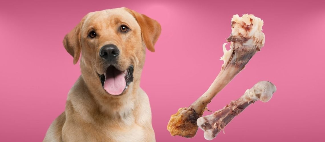 gà đá thomo mới nhất hôm nay,Giới Thiệu Bài Viết: Gà Đá Thomo Mới Nhất Hôm Nay gà đá thomo mới nhất hôm nay,Giới Thiệu Bài Viết: Gà Đá Thomo Mới Nhất Hôm Nay